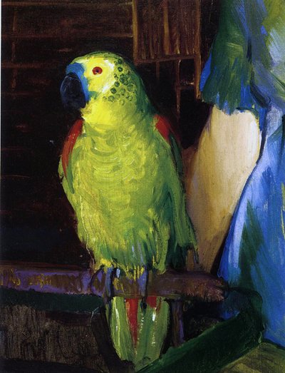 Pappagallo, 1915 da George Wesley Bellows